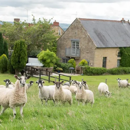 Lodge Sands Farm