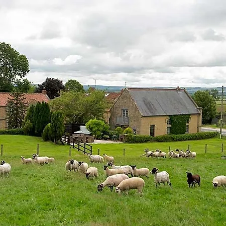 Lodge Sands Farm *